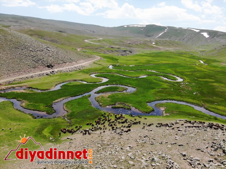 oluşan volkanik bir ayrı platoları üzerinde bölgeye menderesler Ağrı