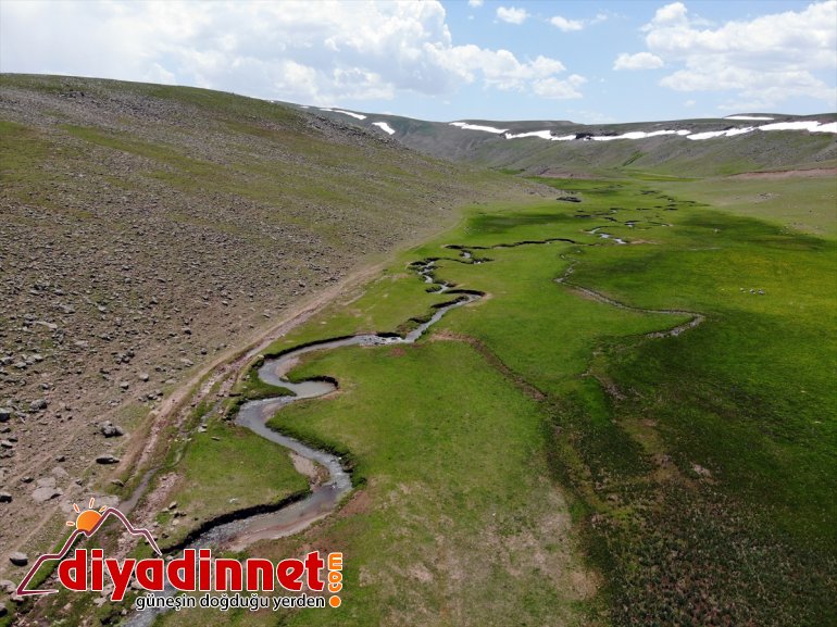 platoları oluşan bir volkanik Ağrı