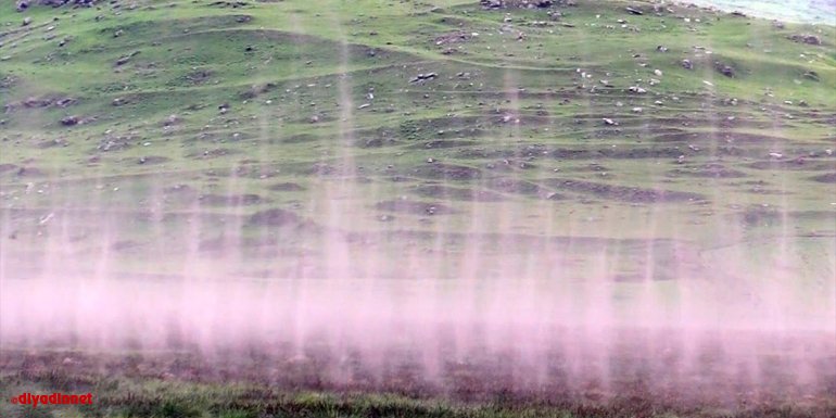 Çıldır Gölü sazlığında binlerce sineğin dansı kameralara yansıdı