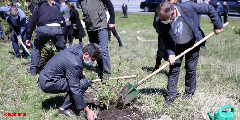 Ardahan'ın orman varlığının artırılması için 100 bin fidan toprakla buluşturuldu