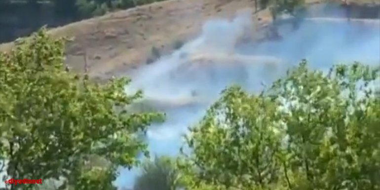 Baskil'de kayısı ekili alan yandı