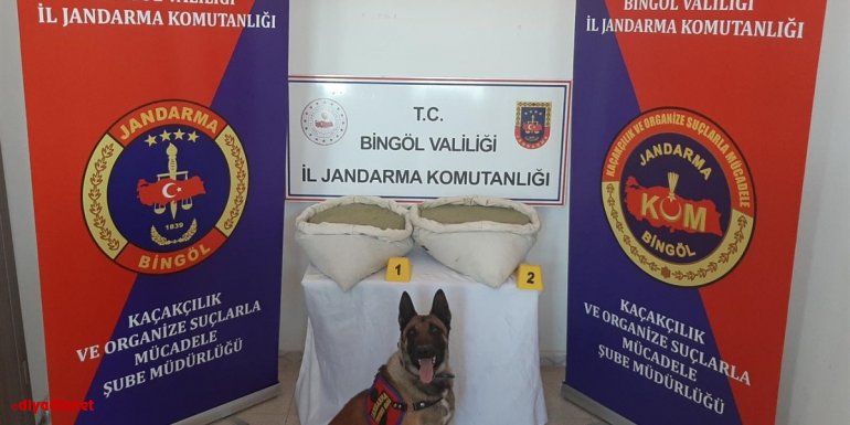 Bingöl'de 110 bin kök Hint keneviri ve 19 kilogram esrar ele geçirildi