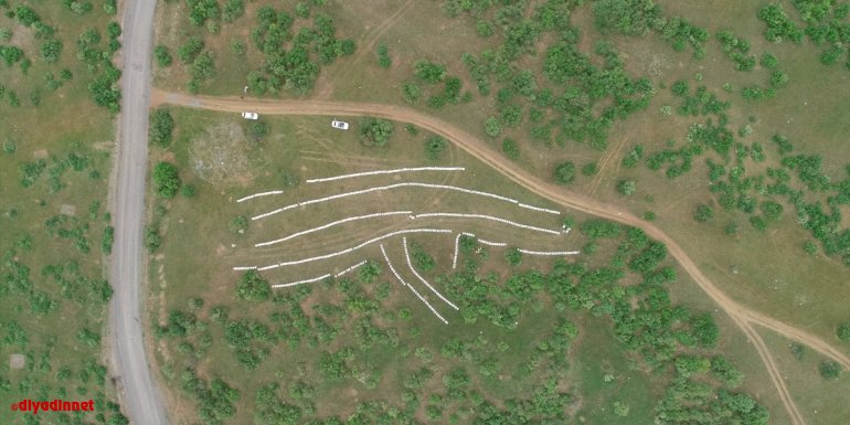 Bingöl, Atatürk ve Gebze Teknik üniversitelerinin iş birliğiyle arıcılık ulusal düzeyde gelişecek