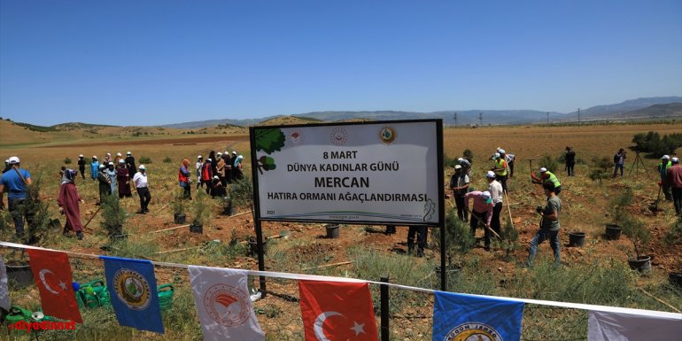 Bingöl'de, 3 bin fidan kadın eliyle toprakla buluşturuldu