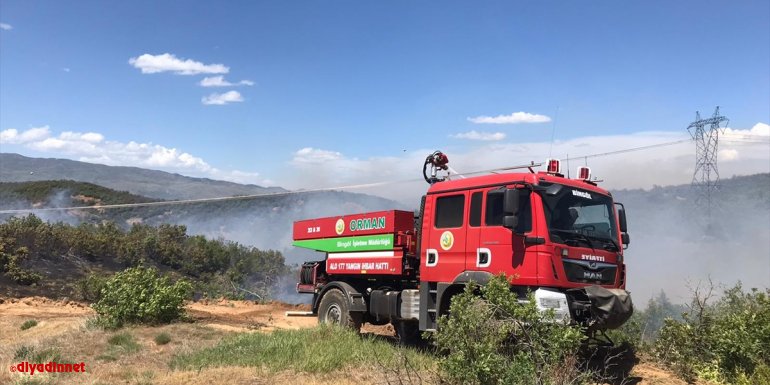 Bingöl'de çıkan orman yangınında 9 dönüm alan zarar gördü