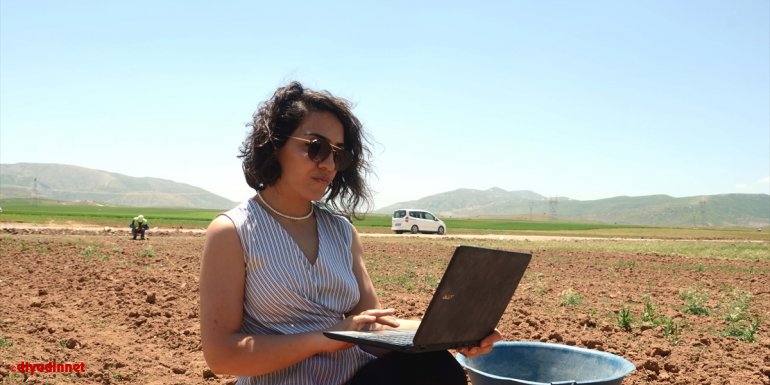 BİTLİS - Nemrut Dağı eteklerindeki jeotermal kaynaklarla seracılık geliştirilecek1