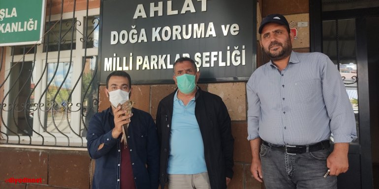 Bitlis'te yaralı halde bulunan atmaca tedavi için Van'a gönderildi