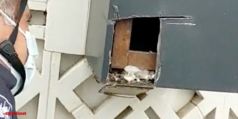 Elazığ'da itfaiye ekiplerinden güvercini kurtarmak için yoğun çaba