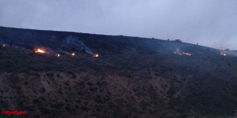 ELAZIĞ - Yıldırım düşmesi sonucu mera alanında yangın çıktı1