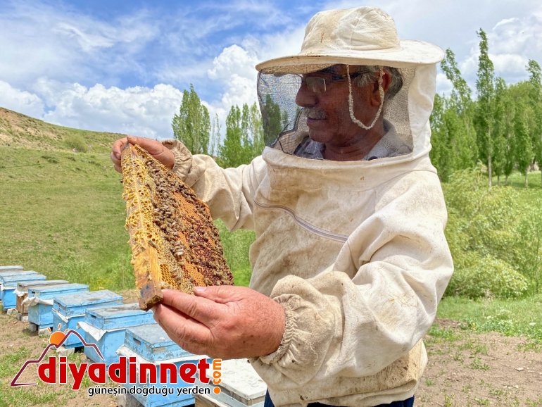 Emekli oldu ömrünü arıcılığa adadı2