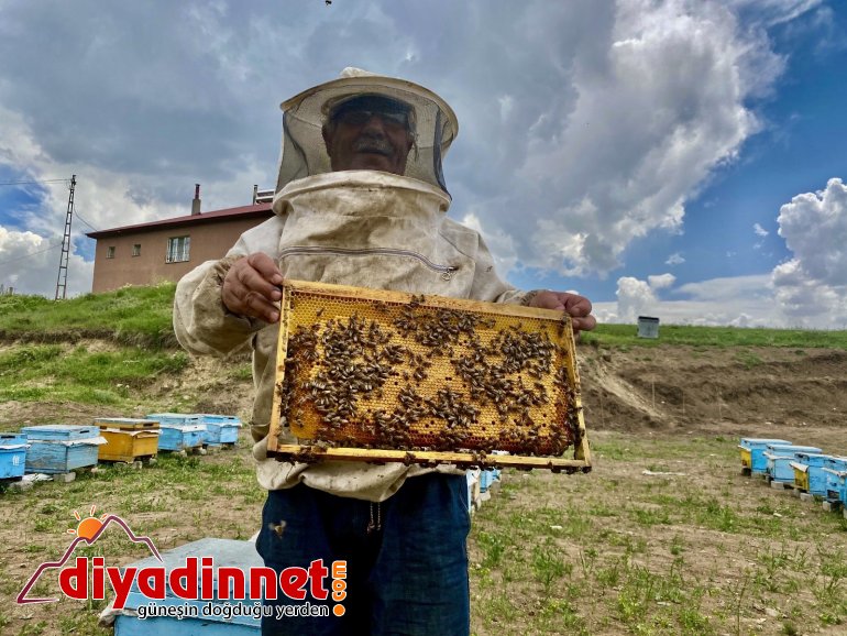 Emekli oldu ömrünü arıcılığa adadı4