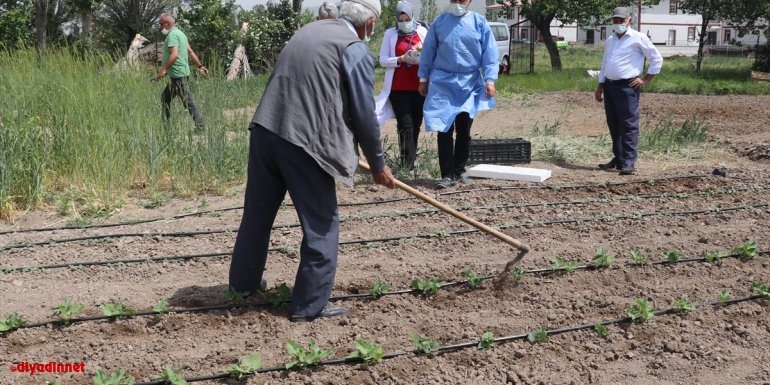 Hastaneye gitme fırsatı bulamayan Erzincanlı çiftçi aile çapa yaptıkları tarlada aşılandı