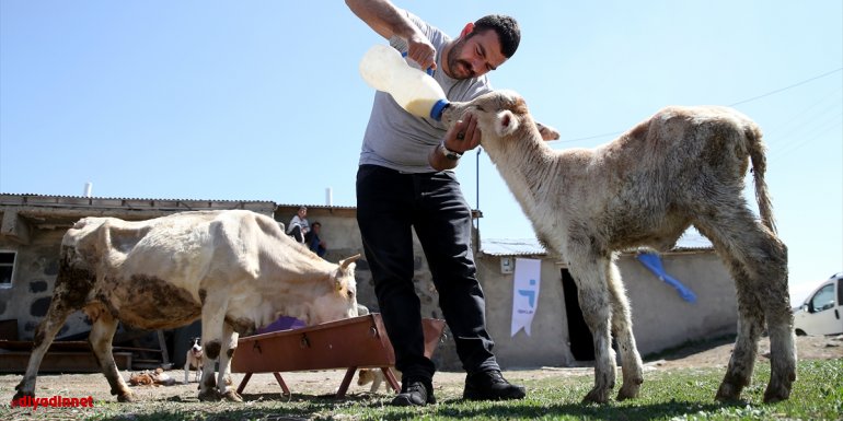Devlet desteğiyle hayvancılığa başlayan eski hükümlü hayatında yeni sayfa açtı
