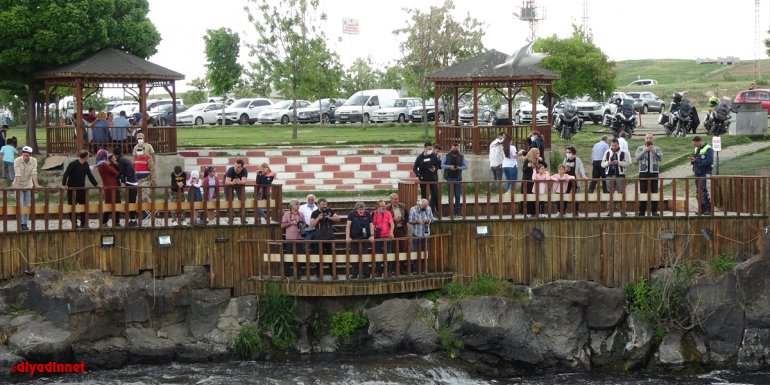 Fotoğraf tutkunları Van'da inci kefali göçünü izledi