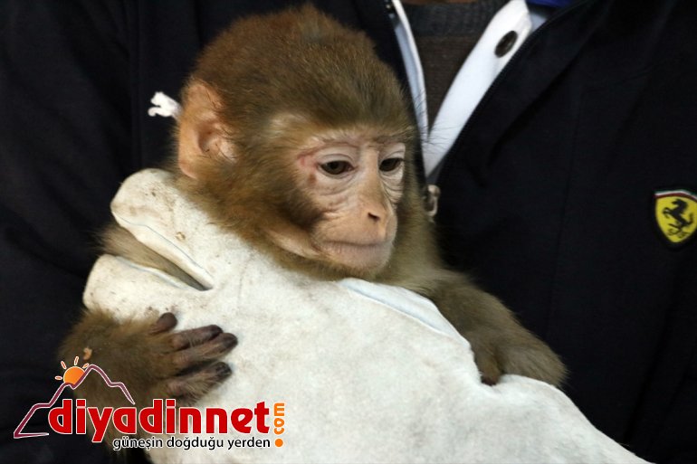 Gürbulak Gümrük Kapısı