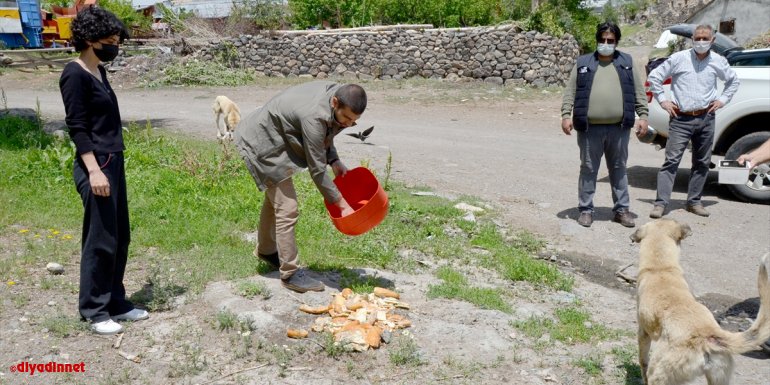 KARS - Kısıtlama günlerinde sokak hayvanları unutulmadı1