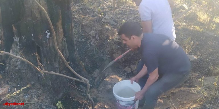 Keban'da bahçede çıkan yangın söndürüldü