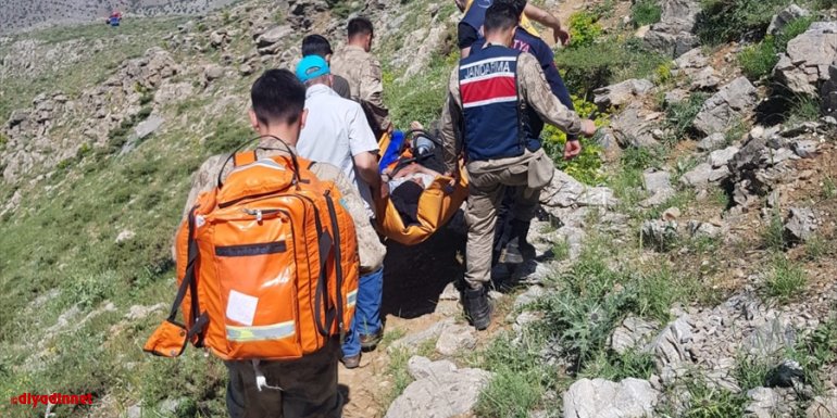 Malatya'da mantar ve ot toplamak için çıktığı kayalıklardan düşen kişi yaralandı