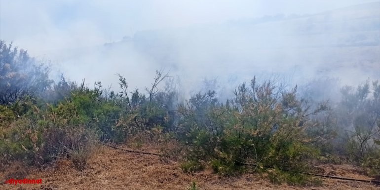 Malatya'da ormanlık alanda çıkan yangın söndürüldü