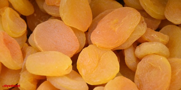 Malatya ilk çeyrekte kuru kayısıdan 100 milyon dolarlık ihracat geliri elde etti