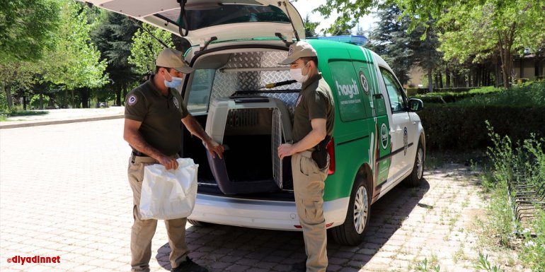 Polisten Kovid-19 kısıtlamasında sokaktaki "can dostlar"a mama ve su desteği