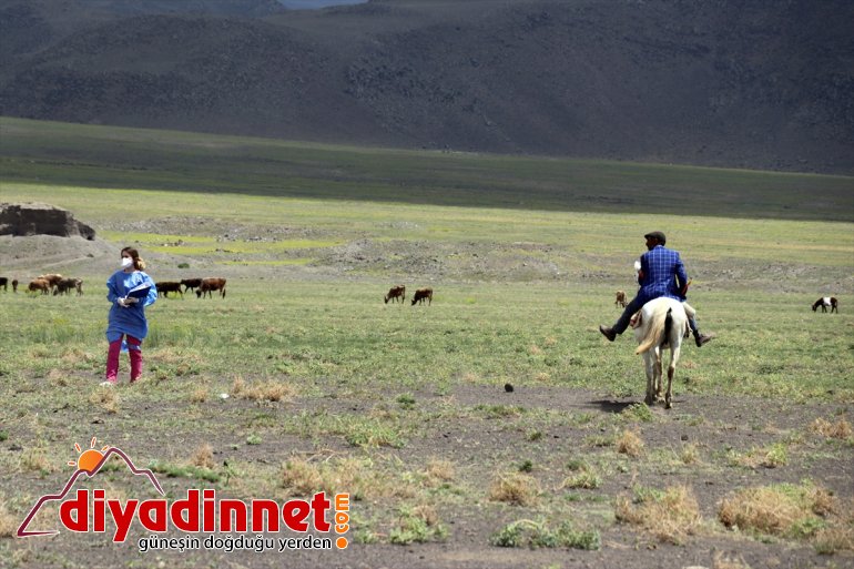 Sağlık çaba engelli yoğun için harcıyor aşılamak kırsaldaki ekipleri vatandaşları 26