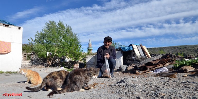 Sarıkamış'ta "tam kapanma" sürecinde sokak hayvanlarına mama desteği