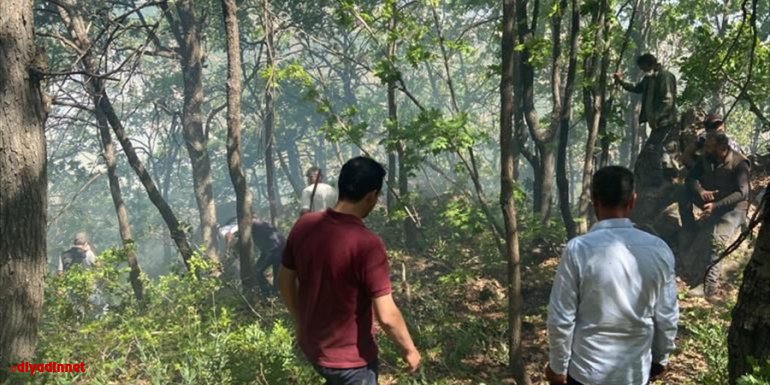 Tunceli'de çıkan örtü yangını söndürüldü