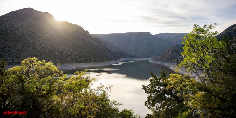 Tunceli'nin saklı cenneti "Gemici Vadisi"nde ilkbahar güzelliği yaşanıyor