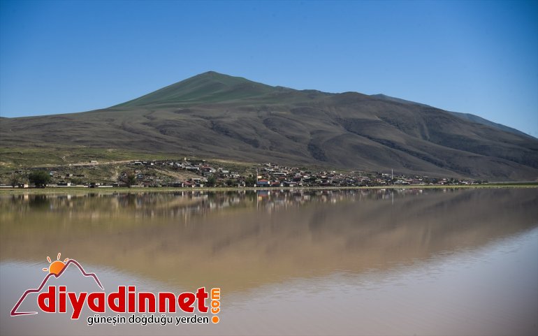 Türkiye nin çatısı Ağrı Dağı4