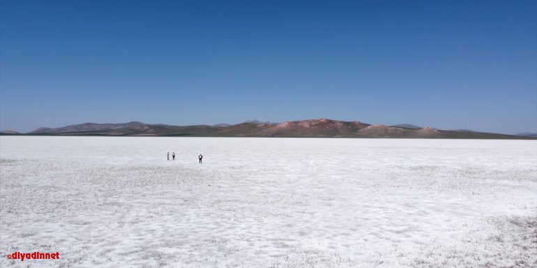 Van'da birçok kuş türüne ev sahipliği yapan Akgöl kurudu