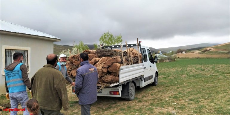 Van'da çiftçilere 3 bin ceviz fidanı dağıtıldı