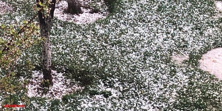 Van'da dolu etkili oldu