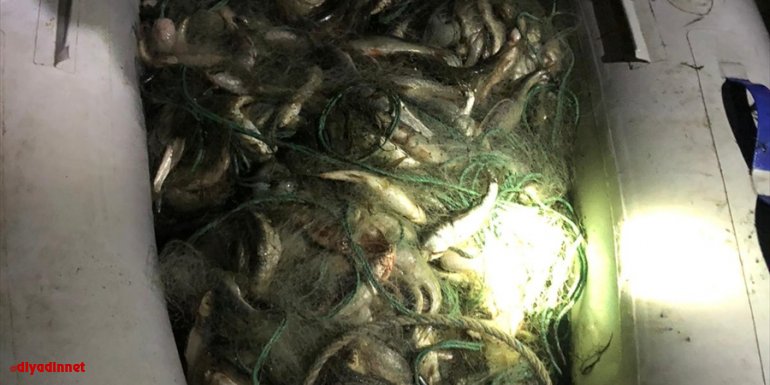 Van'da kaçak avlanılan 530 kilo inci kefali ele geçirildi