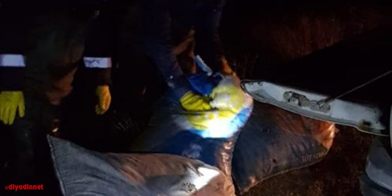Van'da kaçak avlanmış 300 kilogram inci kefali ele geçirildi