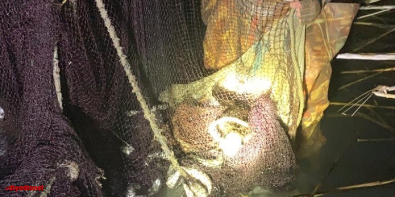 Van'da kaçak inci kefali avlayanlara 64 bin 569 lira ceza kesildi