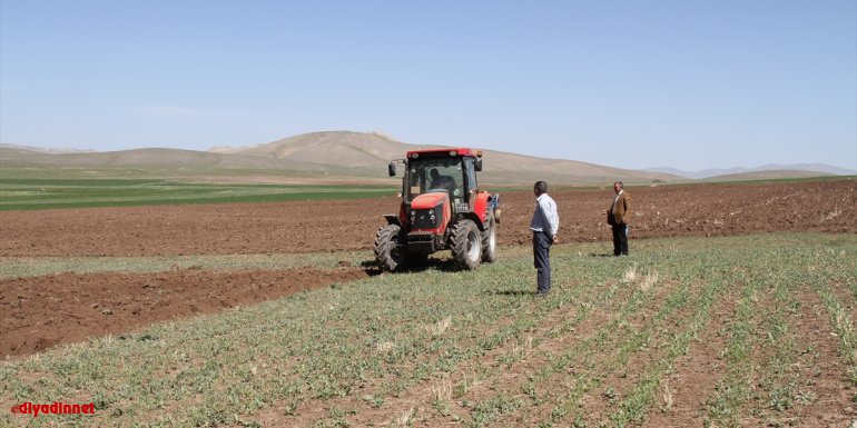 Özalp'te yağışların az olması çiftçileri düşündürüyor