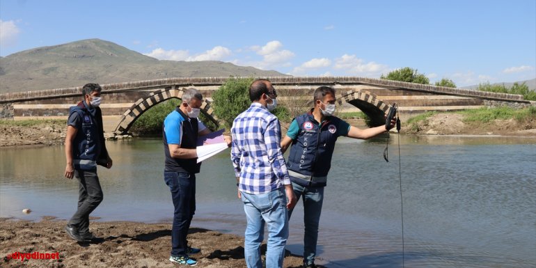 VAN - Üremek için tatlı sulara göç eden inci kefallerinin ölüm nedeni araştırılıyor1