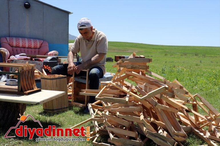 arıcıların Zengin Ağrı yaylalarında mesaisi bal sahip örtüsüne başladı bitki 23
