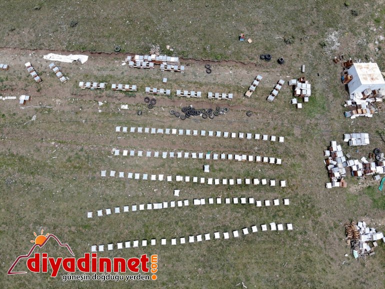 başladı sahip bitki bal arıcıların örtüsüne yaylalarında Zengin Ağrı mesaisi 24