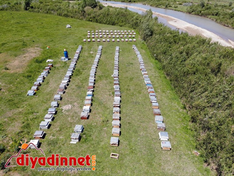 örtüsüne mesaisi Ağrı bal başladı yaylalarında arıcıların Zengin bitki sahip 6