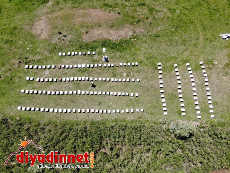 mesaisi bal Zengin yaylalarında başladı arıcıların örtüsüne bitki Ağrı sahip 10