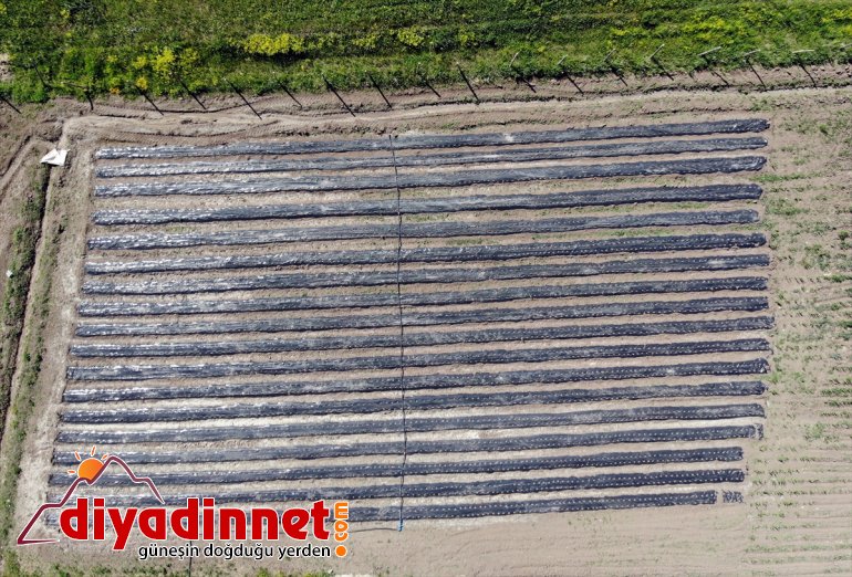 - hedefliyor denilen Ağrı