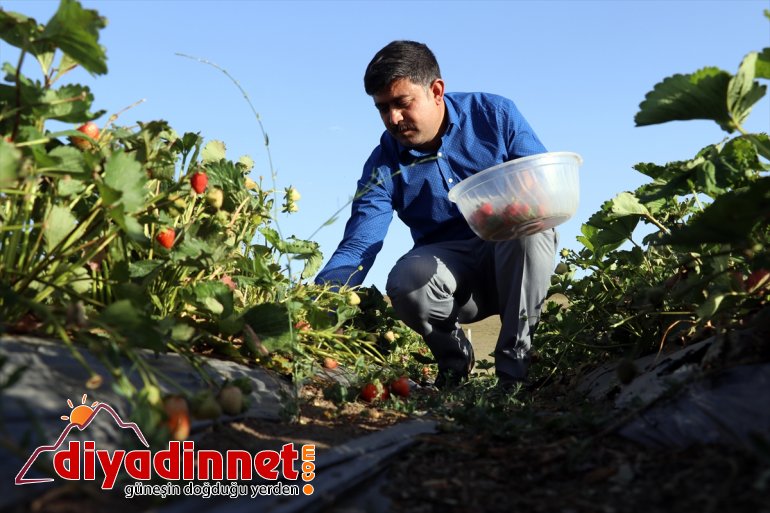 AĞRI desteğiyle Ağrı