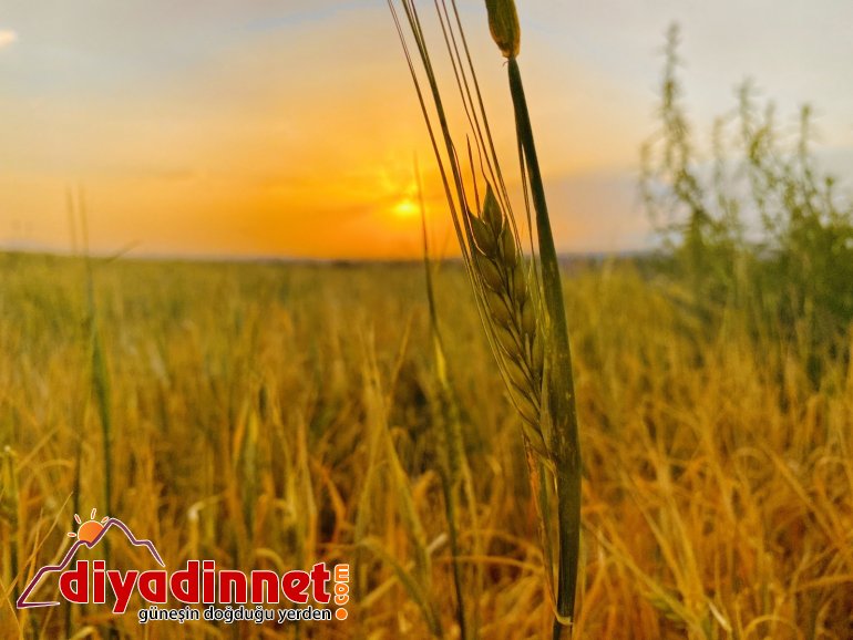 Ağrı da göz kamaştıran gün batımı3