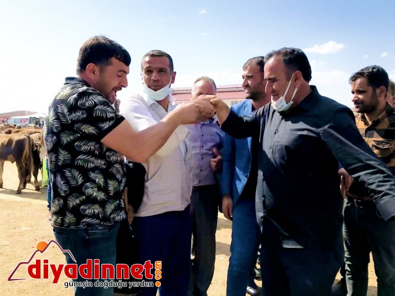 Ağrı da kurbanlıklar pandemi gölgesinde görücüye çıktı4