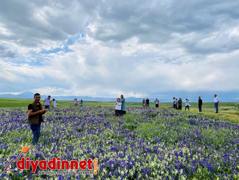 Ağrı da renk cümbüşü3