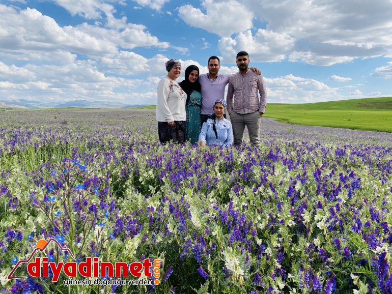 Ağrı da renk cümbüşü5