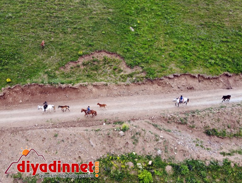 Ağrı daki Balık Gölü kısıtlamalardan bunalanların uğrak yeri oldu9