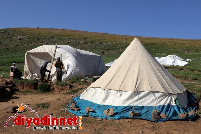 Güvenlik sorunu yaşanmayan Ağrı'nın yaylaları göçerleri ağırlıyor